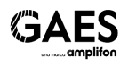 LOGO GAES